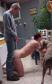 DOG96.jpg