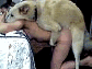 Smiley-msn.com-dogmovie1.gif