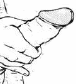 a1.gif