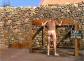 bondage-trouble1006.jpg
