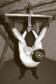 bondage-trouble475.jpg