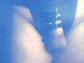ceinture4.jpg